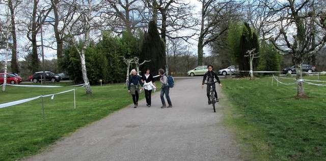 IMG_0137 (2)